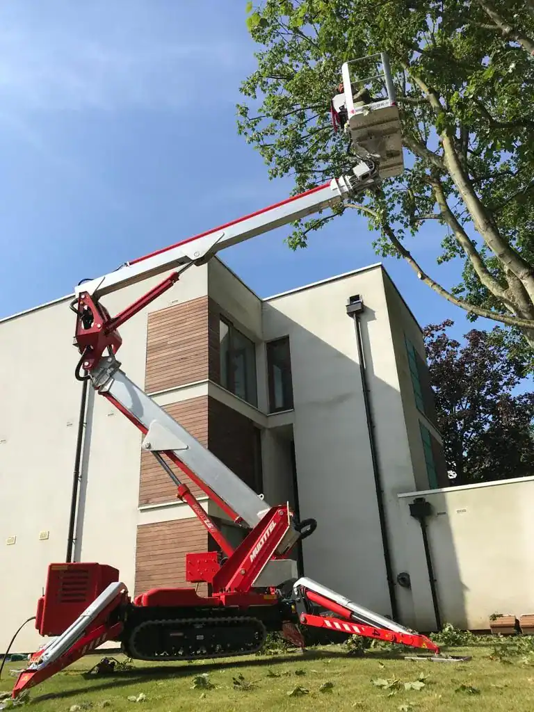 Parish tree surgery work