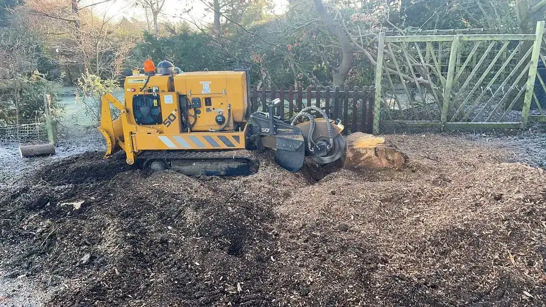 Parish tree surgery work